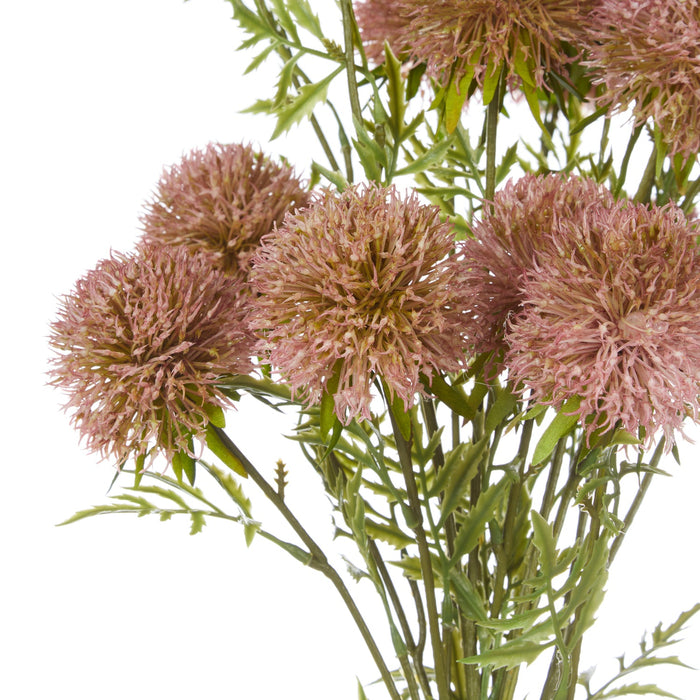NSIMG-SHA256:e4dd07aa1a45c285960f0d565ddc2bff23e4061e4d80827e415f586315438704 · Isalbi Rogue Allium Spray Bunch Dark Pink