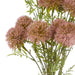 NSIMG-SHA256:e4dd07aa1a45c285960f0d565ddc2bff23e4061e4d80827e415f586315438704 · Isalbi Rogue Allium Spray Bunch Dark Pink