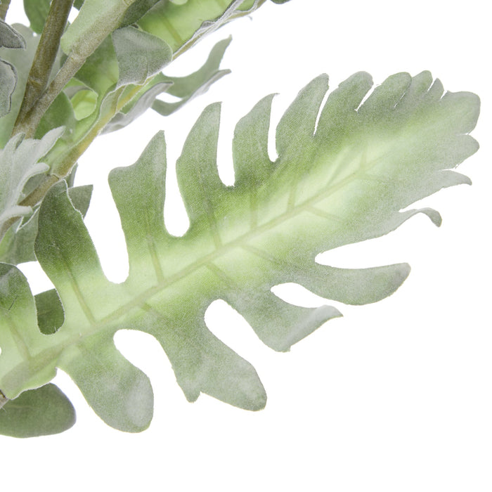 NSIMG-SHA256:7cecd3ad7b799bcbfd2b332ab65c1bb70cd92e2aca488481d38f32f7a8232d50 · Isalbi Rogue Dusty Miller Stem Bunch Green