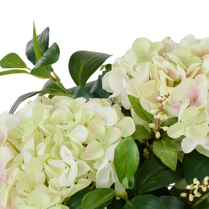 NSIMG-SHA256:749aeb799da6280a153d54f7afb36584e485fbc19b4c77d88101933c7d9dbea5 · Isalbi Rogue Hydrangea Nite Berry - Classic Bowl Green