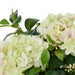 NSIMG-SHA256:749aeb799da6280a153d54f7afb36584e485fbc19b4c77d88101933c7d9dbea5 · Isalbi Rogue Hydrangea Nite Berry - Classic Bowl Green