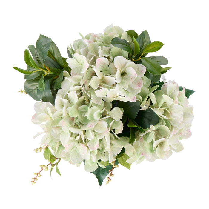NSIMG-SHA256:a6e959a797ecc818f65fdcc17448d2a524c72cb9ca7a50817c625628bb88c731 · Isalbi Rogue Hydrangea Nite Berry - Classic Bowl Green