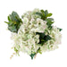 NSIMG-SHA256:a6e959a797ecc818f65fdcc17448d2a524c72cb9ca7a50817c625628bb88c731 · Isalbi Rogue Hydrangea Nite Berry - Classic Bowl Green