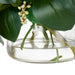 NSIMG-SHA256:e61b038da477f7314349e83369e1bc9e707d77b23394b0d543d7e44df40a40bb · Isalbi Rogue Hydrangea Nite Berry - Classic Bowl Green