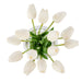 NSIMG-SHA256:b1c410c850951d21c437a4679dce0a6b0d6f032d6806eaa448012fb93f0da5ed · Isalbi Rogue Tulip Bunch - Sphere Vase White
