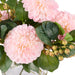 NSIMG-SHA256:76d17511cf4734944510a24c6d511c67af040fd9de974f2b4aa56c8f0c8861f4 · Isalbi Rogue Chrysanthemum Berry - Classic Bowl Pink