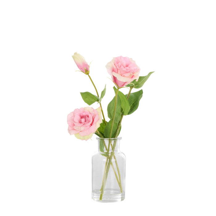NSIMG-SHA256:8455aa87ebd6a21fc3e7842a7ac036a48efbfca34ffcb72cb2bd27c612280c51 · Isalbi Rogue Lisanthus - Specimen Glass Vase Pink