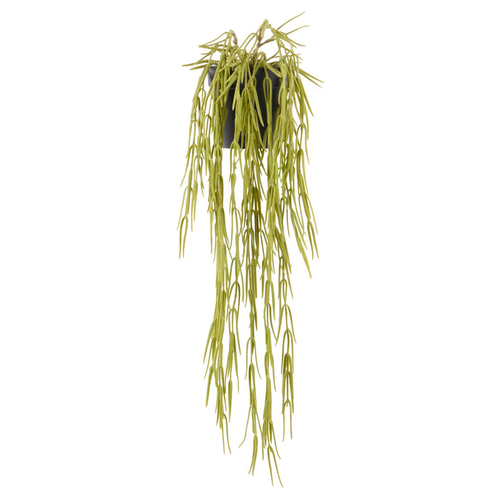 NSIMG-SHA256:232f01eb24ba1b1da539a03fb4d57a707adceae6cd47378347201f6692d62514 · Isalbi Rogue Hoya Hanging - Garden Pot Green