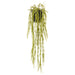 NSIMG-SHA256:232f01eb24ba1b1da539a03fb4d57a707adceae6cd47378347201f6692d62514 · Isalbi Rogue Hoya Hanging - Garden Pot Green