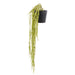 NSIMG-SHA256:add752d5f2e719efc6ea841f32aa5871f1bd2500611284930a949844394d9955 · Isalbi Rogue Hoya Hanging - Garden Pot Green