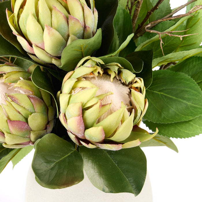 NSIMG-SHA256:62d9a76a71ec9eaf8d1771ab2fd5c4d3a017f5362bc588eaf09a3eef92c4880d · Isalbi Rogue Protea Fig Berry Mix - Maliah Pot Green & Purple