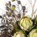 NSIMG-SHA256:68145de8ad31c386bfe3cd68b2433a0f8fca39dc0ec3b79bcd027640c628c2b7 · Isalbi Rogue Protea Fig Berry Mix - Maliah Pot Green & Purple