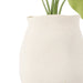 NSIMG-SHA256:fea4dbb33eb3c34dcd2c8452930dbc6f04d78b48212af09307aa3a3c536f7a5d · Isalbi Rogue Hosta Plant - Maliah Pot Green