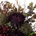 NSIMG-SHA256:0f258b5e89be9d2b397d65f9527db9cb208a8b38d23bebc7ce49cb88128fc513 · Isalbi Rogue Chrysanthemum Fig Garden Mix Small Maliah Pot Purple