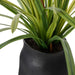 NSIMG-SHA256:8e73e0cc89097d32eb517a54ecc40488af5c42ad937785eaa4a94ac5f47bf7b4 · Isalbi Rogue Kangaroo Paw - Maliah Red