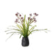 NSIMG-SHA256:07d45ea47616c9363c42e6dcf376001b769c10068c56bccdd1ff627bd644a414 · Isalbi Rogue Kangaroo Paw - Maliah Red