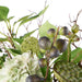 NSIMG-SHA256:734dce1ffe6209d56c74babc7e9a811d6543f483c2084a17cbdca519bdf9a096 · Isalbi Rogue Hydrangea Lotus Pod Fig Mix - Maliah Pot Green