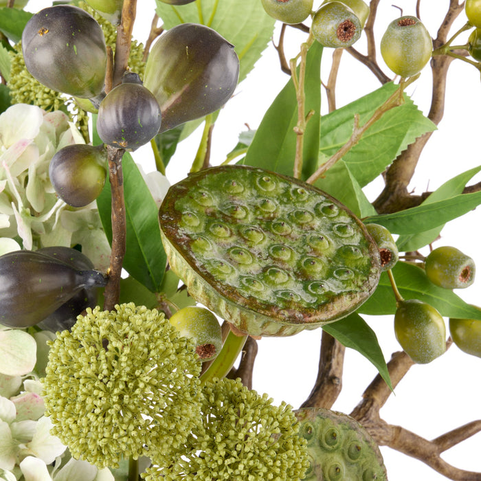 NSIMG-SHA256:eb2d2e06a8bc68f17b192f0f20dddf62a83466878d357ac7781cadc5b0fe48cf · Isalbi Rogue Hydrangea Lotus Pod Fig Mix - Maliah Pot Green