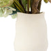 NSIMG-SHA256:a95036fb47499d49945c83c74b2cef36f249175e21329f22116cc52cf2d27530 · Isalbi Rogue Hydrangea Lotus Pod Fig Mix - Maliah Pot Green