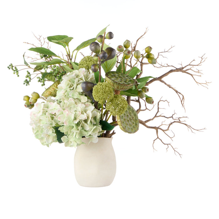 NSIMG-SHA256:429dd414b34c6474493b7aa34f7e03ac6324d35ea1b18de8dd5abd3b303e30f6 · Isalbi Rogue Hydrangea Lotus Pod Fig Mix - Maliah Pot Green