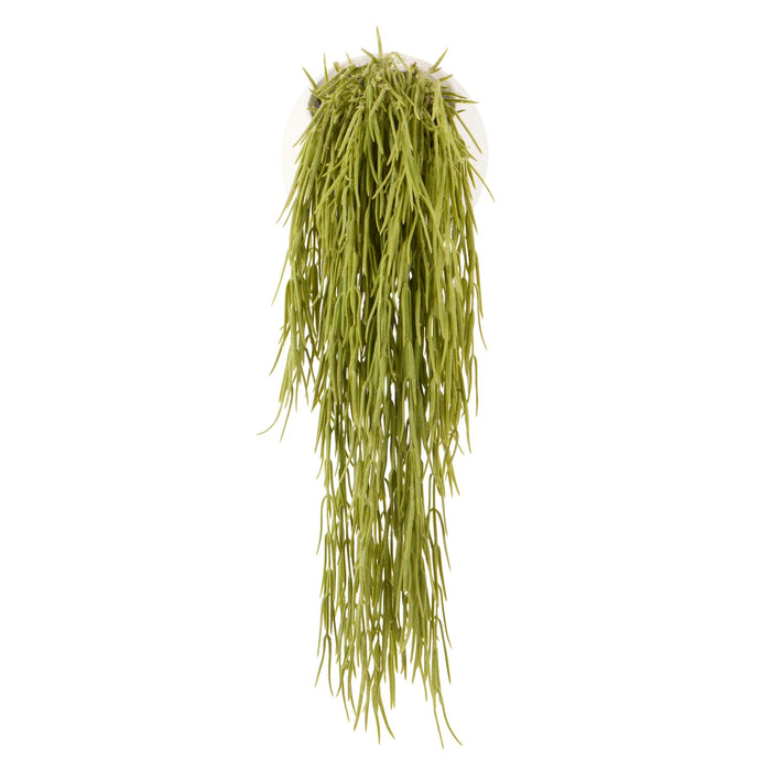 NSIMG-SHA256:bdafc1b25d16427f45ea6571e2ca54995d3426c189b5c22dfbf65ac5bf573f5e · Isalbi Rogue Hoya Hanging - Ithaca Round Planter Green