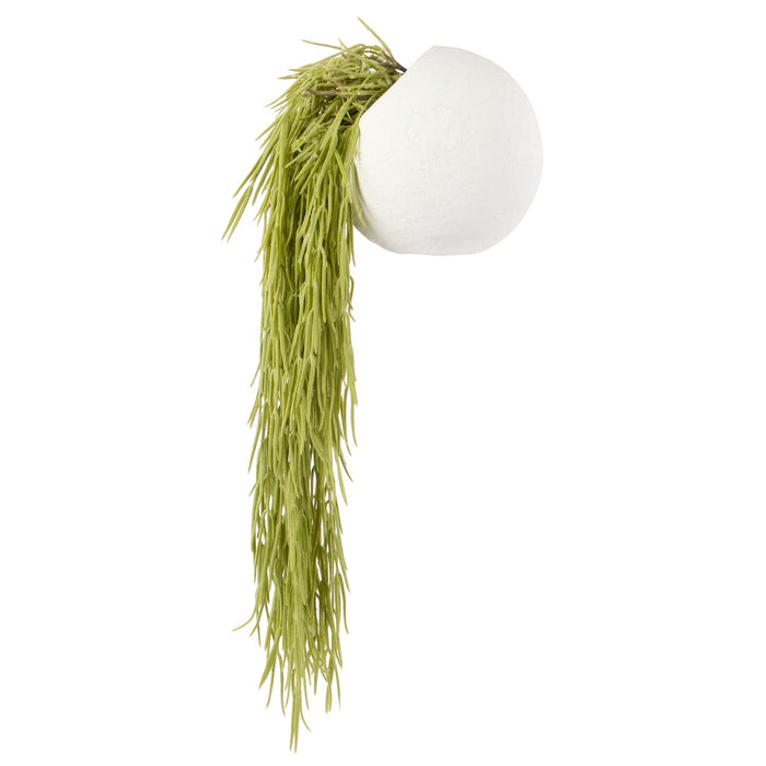NSIMG-SHA256:d539e4811744e0833ab6dfbb8656b6d74ab031da5cfe70e24dc51288bf2c5c86 · Isalbi Rogue Hoya Hanging - Ithaca Round Planter Green