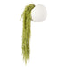 NSIMG-SHA256:d539e4811744e0833ab6dfbb8656b6d74ab031da5cfe70e24dc51288bf2c5c86 · Isalbi Rogue Hoya Hanging - Ithaca Round Planter Green
