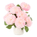 NSIMG-SHA256:5c52a5c01401d8bb544c2d9a98d08bb7e6a1a1e915cb844cd07996221fc1d0b9 · Isalbi Rogue Chrysanthemum - Gianna Pot Pink