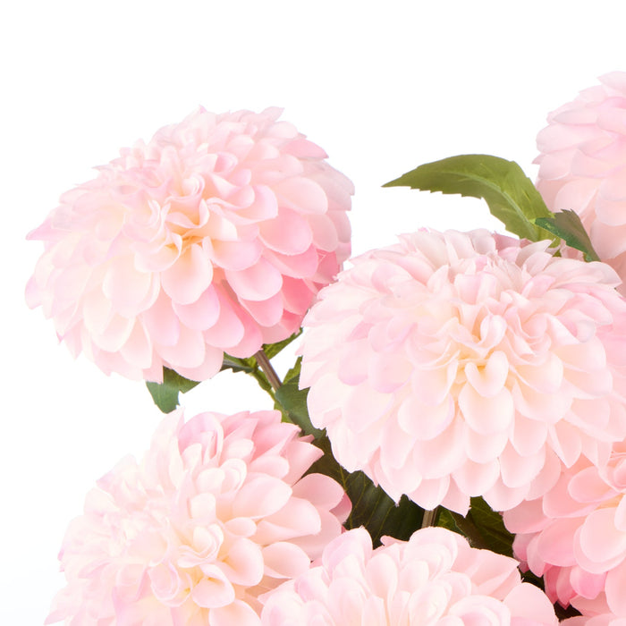 NSIMG-SHA256:1a011cb4ed92a241428920fc2fab5330d75520ffd89a4957ad8132c031366c49 · Isalbi Rogue Chrysanthemum - Gianna Pot Pink