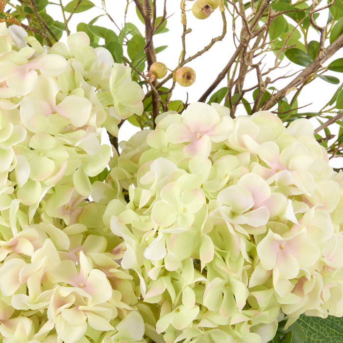 NSIMG-SHA256:4f88684fb374332c1cd82b7ea6f577f16edff90aa08043ca13ef223bdff339fe · Isalbi Rogue Hydrangea Berry - Maliah Pot Green