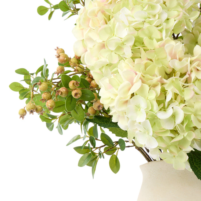 NSIMG-SHA256:5e6f5f742329d904d8cd60769ea4c23092b52de04f7cbcba7c2208f3b2dc7159 · Isalbi Rogue Hydrangea Berry - Maliah Pot Green