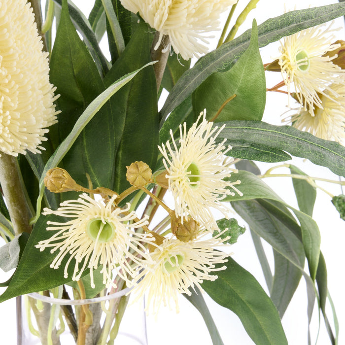 NSIMG-SHA256:be318e09d9f872ba386237701e5c15319adfff136cb0140a8300a3114c19ba9c · Isalbi Rogue Banksia Eucalyptus Mix - Rachel Vase Cream