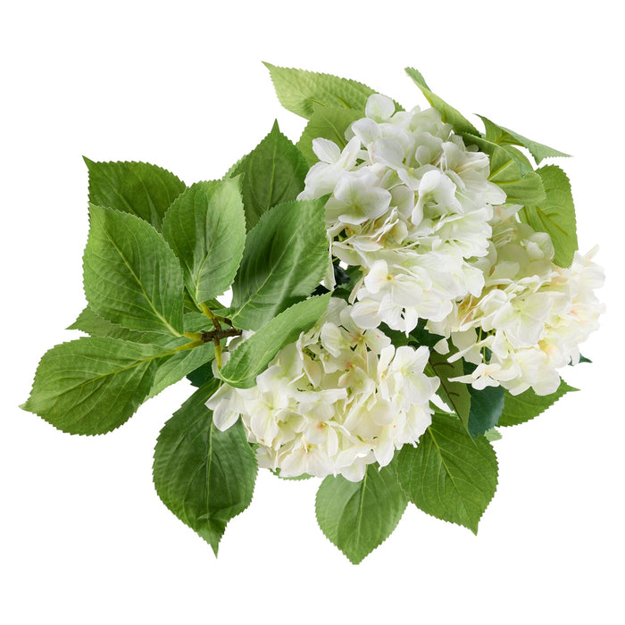 NSIMG-SHA256:65cacc14a976c109b6677500dfbe293f2602feb64b8d38fe00b7c56c9e0a5558 · Isalbi Rogue Hydrangea Vivid Leaf Bouquet White