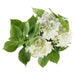 NSIMG-SHA256:65cacc14a976c109b6677500dfbe293f2602feb64b8d38fe00b7c56c9e0a5558 · Isalbi Rogue Hydrangea Vivid Leaf Bouquet White