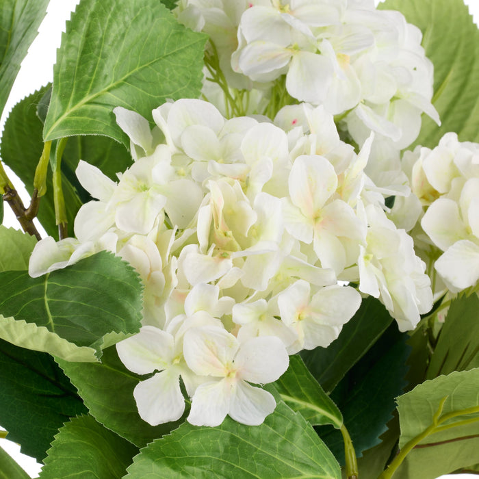NSIMG-SHA256:eaa1e23b5f85e6f1c3005dc77504b55dcc476b190fa8ee86992c72f9296e50e3 · Isalbi Rogue Hydrangea Vivid Leaf Bouquet White