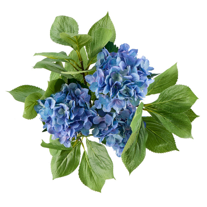 NSIMG-SHA256:9cfc2a5b04f83d4cdc603ee69761e106e1721e14c0045b1cc4874171cd1f5c72 · Isalbi Rogue Hydrangea Vivid Leaf Bouquet Blue