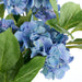 NSIMG-SHA256:3ac3ec608efb7e70c28ad217a7fff4704481eb951bffd714892df1e984d170eb · Isalbi Rogue Hydrangea Vivid Leaf Bouquet Blue