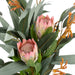 NSIMG-SHA256:192373d8cab2f81bc42aca80d17849c24ae6d6455e06fe15e27d9a3ba4531fe6 · Isalbi Rogue Pitaya Native Mix Bouquet Pink