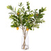 NSIMG-SHA256:d842ba15112fbba0e8fc5e972da1065171943d94fe7cbd36a0fe45d765493373 · Isalbi Rogue Lemon Spray - Rachel Vase Yellow