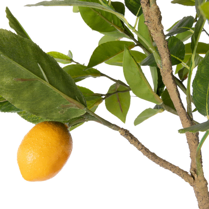 NSIMG-SHA256:d86e794166fa9e98180c18f8d154a508b5ad824b8889440a36b541112ed2ec0e · Isalbi Rogue Lemon Spray - Rachel Vase Yellow