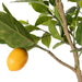 NSIMG-SHA256:d86e794166fa9e98180c18f8d154a508b5ad824b8889440a36b541112ed2ec0e · Isalbi Rogue Lemon Spray - Rachel Vase Yellow