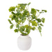 NSIMG-SHA256:10d9144194f8ff7a5d63fa78d46deb6925c05abf19744bea57370aed2dafc356 · Isalbi Rogue Gingko Mix - Neven Vase Green