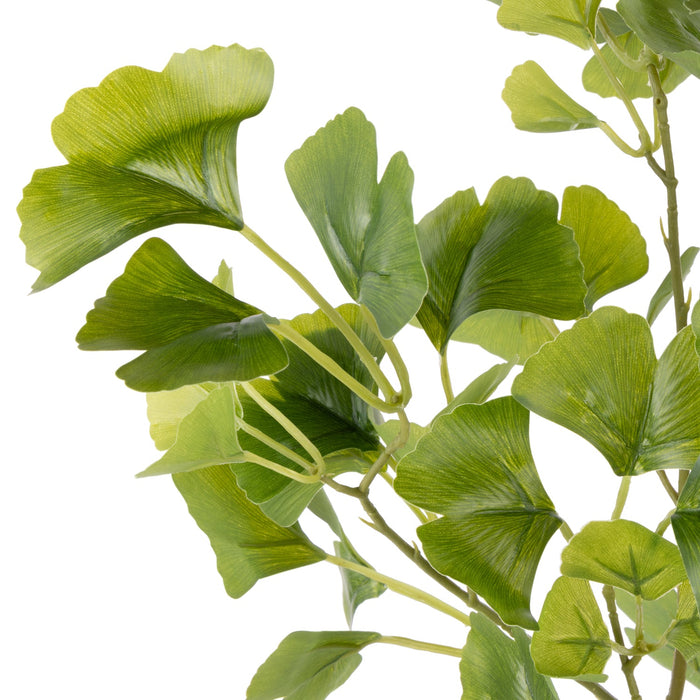 NSIMG-SHA256:428d6e5d9c3fd4341eec0ca99350b594217691ade5a89a27a8af8bd29ea314a1 · Isalbi Rogue Gingko Mix - Neven Vase Green