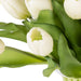 NSIMG-SHA256:0b63aa220c6b6e5f5a0a16c389b2987de215cb12329e507d83bbd397f9b049cf · Isalbi Rogue Tulip Bunch - Phoebe Vase White
