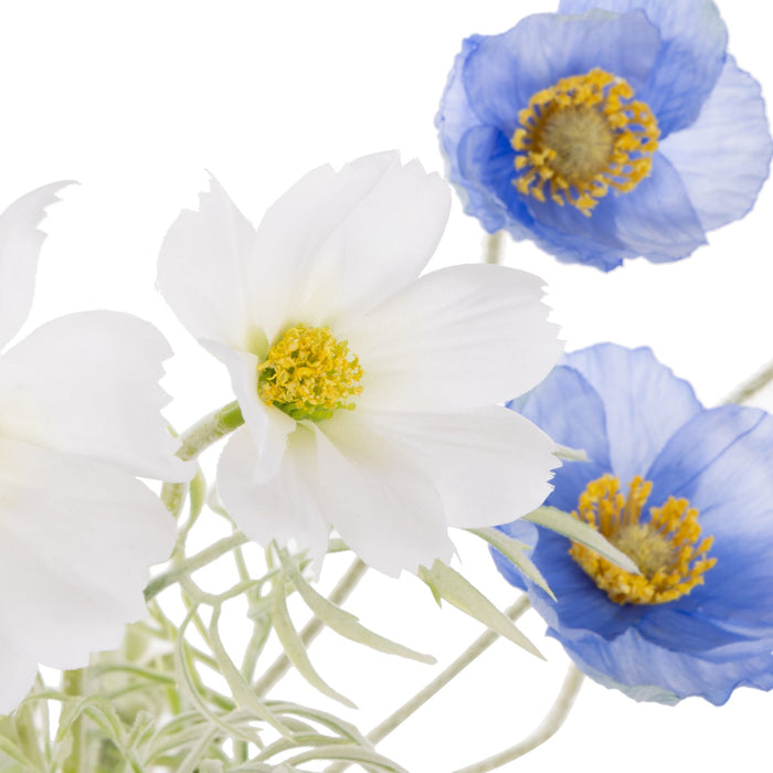NSIMG-SHA256:c663a827bbbd03939f874a0eb7f4644f4dd32a805c30e3ffd632d4e77d0e095e · Isalbi Rogue Poppy Cosmos Mix - Giselle Vase White & Blue