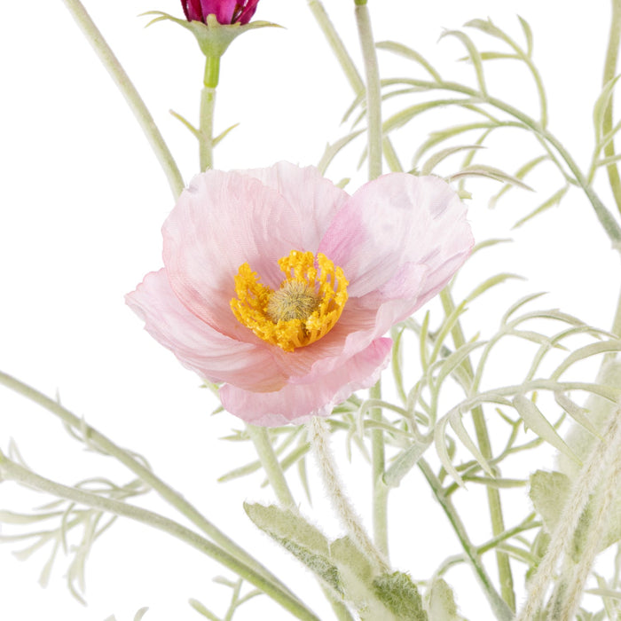 NSIMG-SHA256:d4d9f59ac0fa59d8385423e17531edef14c27dbb1be5aa8bd3a7ac76d6cec3c2 · Isalbi Rogue Poppy Cosmos Mix - Giselle Vase Pink & Purple & White