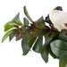 NSIMG-SHA256:40adfdef38ad3279d829902b5fa69b69b2e27291dea217ad4ce19bfddb5fe897 · Isalbi Rogue Protea Pod - Palermo Planter White