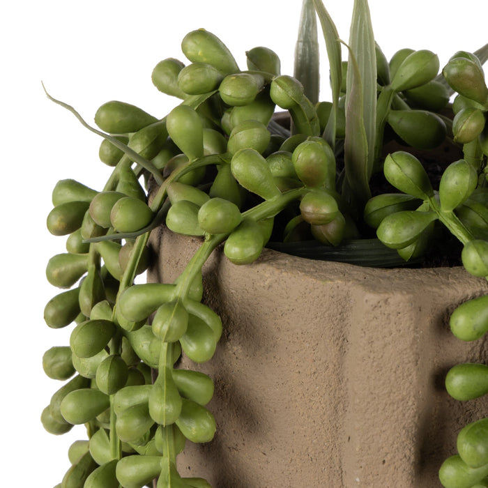 NSIMG-SHA256:0aa83535151acabe10600b1160f8fa27b41590890997431c7c0a7b62c4d393d7 · Isalbi Rogue Hanging Pearls - Danvers Seam Pot Green