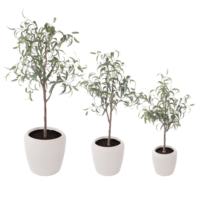 NSIMG-SHA256:0d32cd9a7d62fd9237726317a86d3eafa5f96a0a446e361a5f623286c5a0d30f · Isalbi Rogue Eucalyptus Tree - Vienna Planter