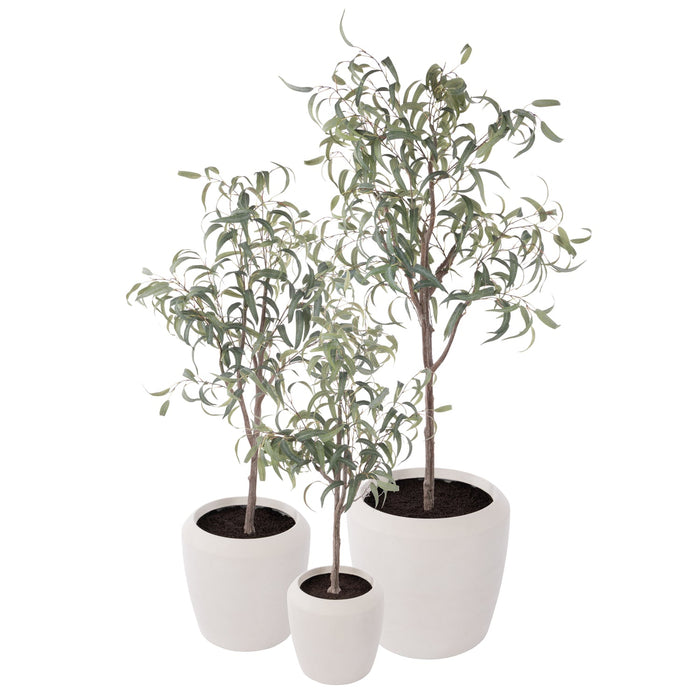 NSIMG-SHA256:7bc520029591675fe35c1cd9d0560b7f398ff0f20264ded37dfa540989433450 · Isalbi Rogue Eucalyptus Tree - Vienna Planter